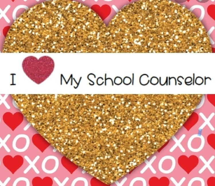 school counselor