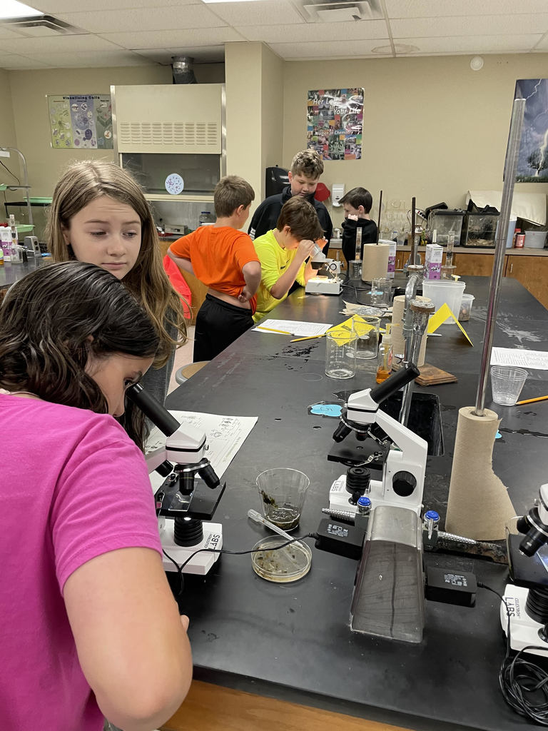 Water Project- Using Microscopes